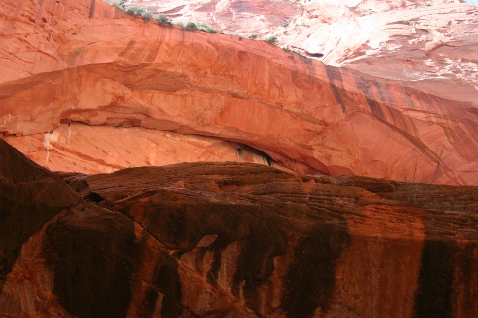 Taylor Creek - Double Arch Alcove