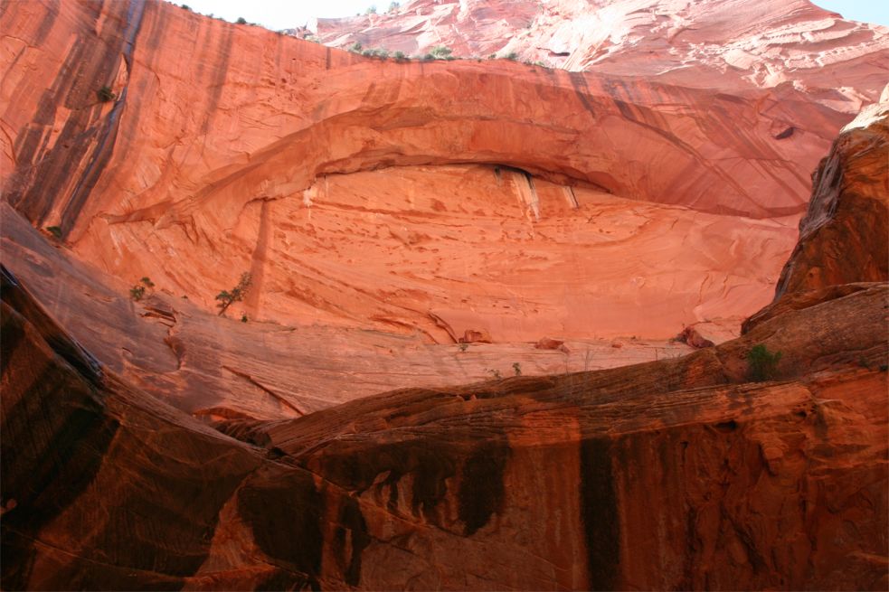 Taylor Creek - Double Arch Alcove