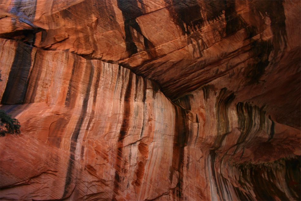 Taylor Creek - Double Arch Alcove