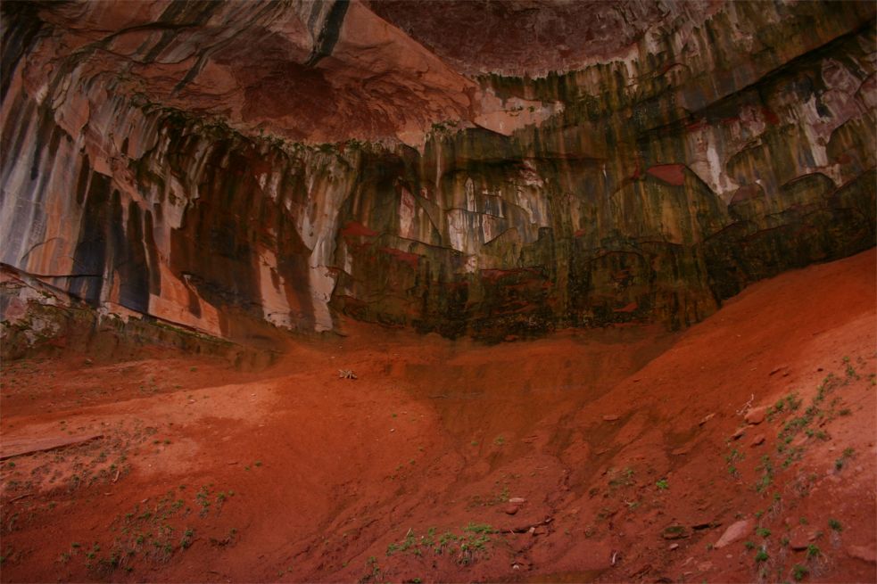 Taylor Creek - Double Arch Alcove