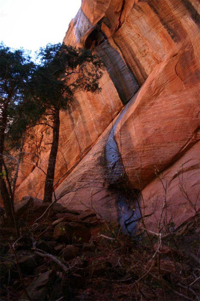 Taylor Creek - Double Arch Alcove