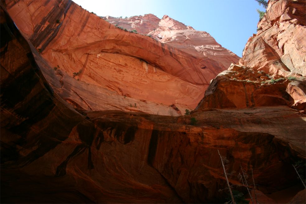 Taylor Creek - Double Arch Alcove