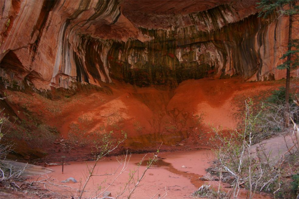 Taylor Creek - Double Arch Alcove