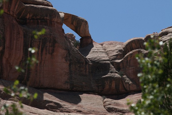 Teapot Arch [Lavender Canyon]