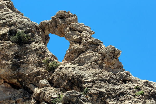 Tejas Arch