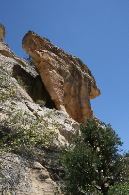 Temple Arch