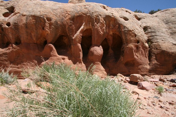 The Grotto