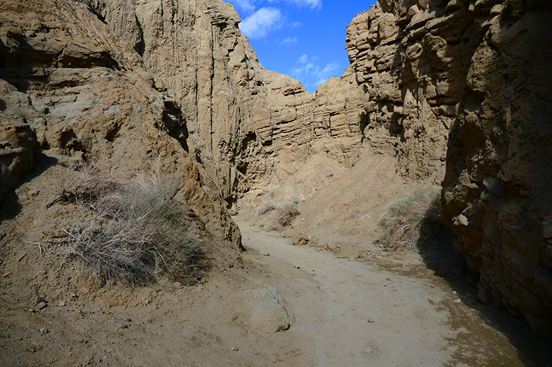 The Slot [Anza Borrego State Park]