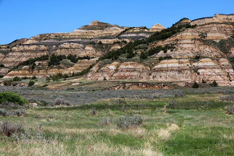 Buckhorn Trail Prairie Dog Town [Theodore Roosevelt National Park - North Unit]