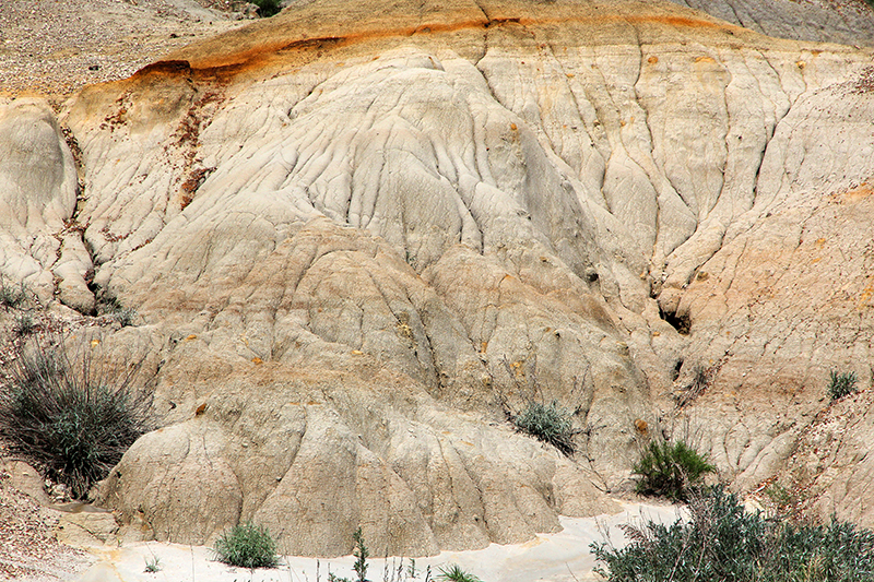 Theodore Roosevelt National Park North Unit