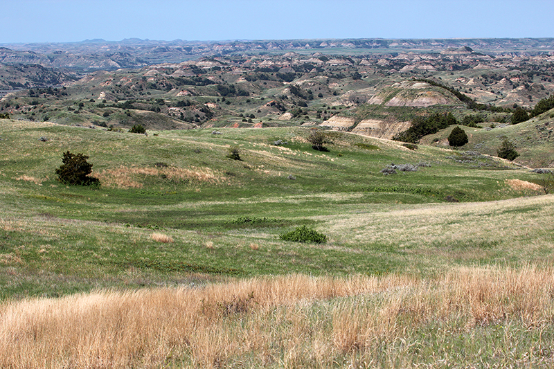 Theodore Roosevelt National Park South Unit