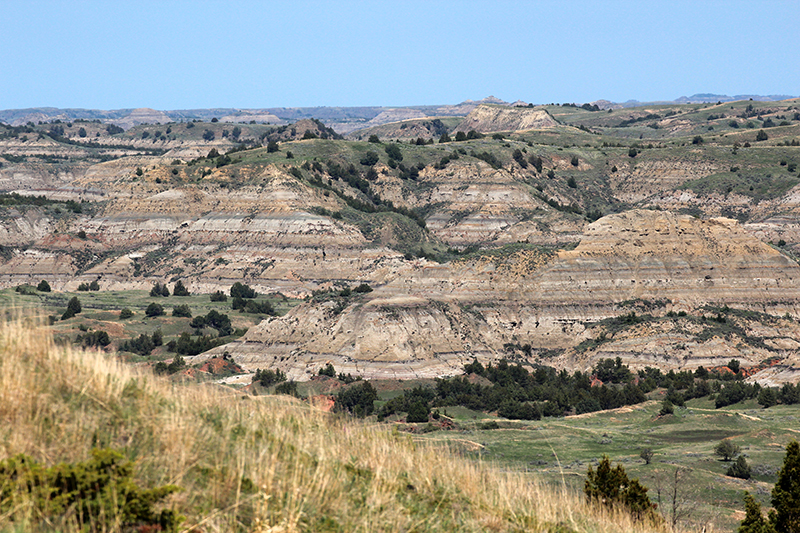 Theodore Roosevelt National Park South Unit