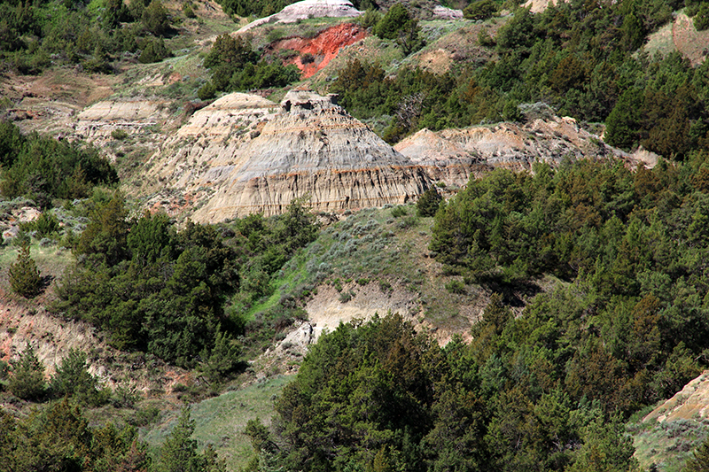 Theodore Roosevelt National Park South Unit