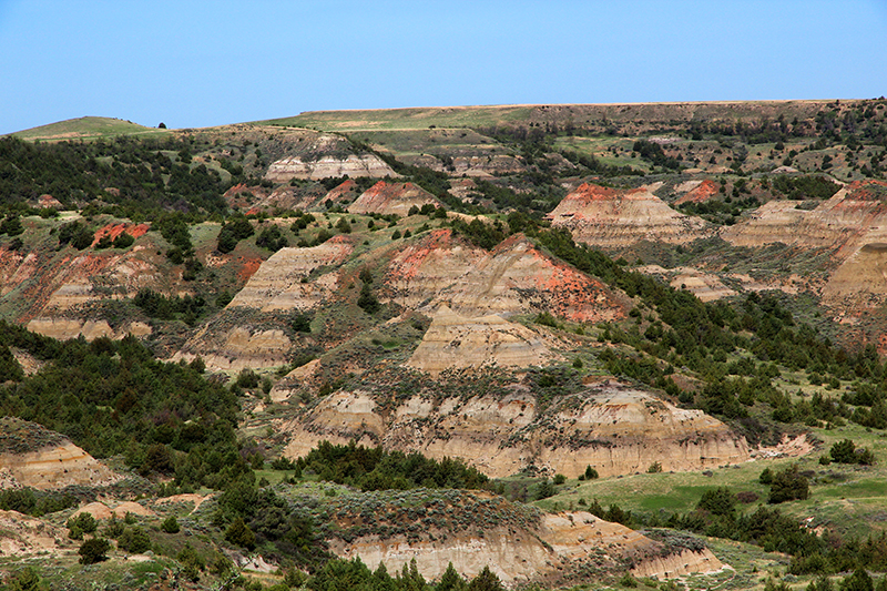 Theodore Roosevelt National Park South Unit