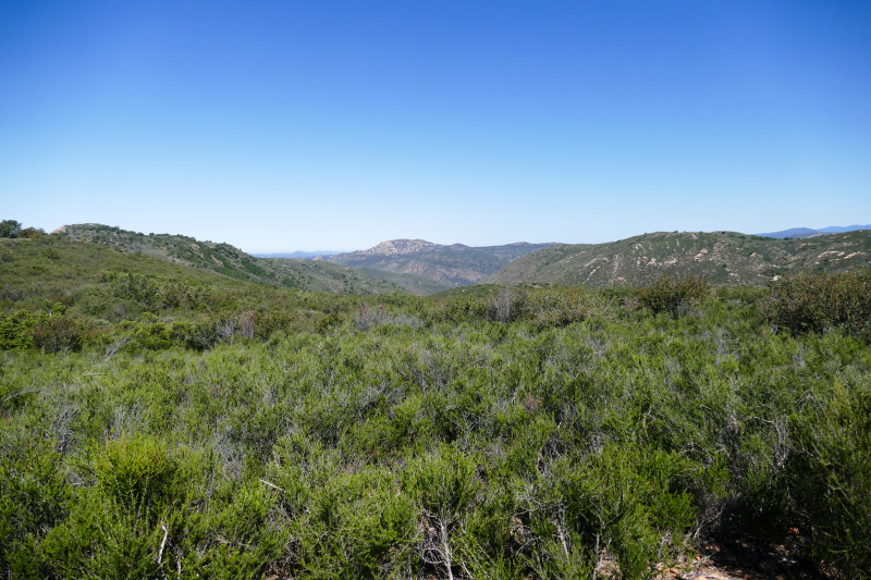 Three Sisters Falls [Cleveland National Forest]