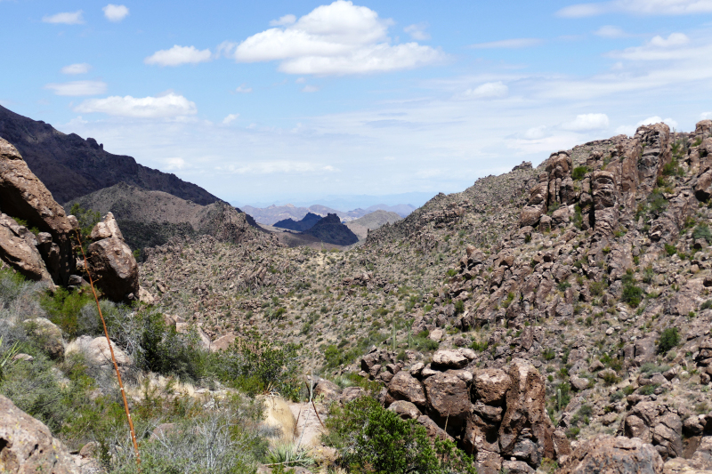 Three Sisters Summit [Superstition Mountains]