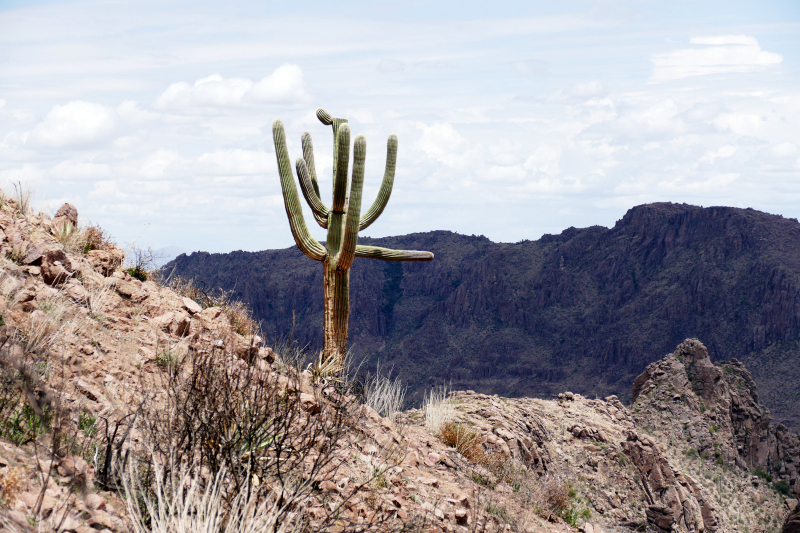 Three Sisters Summit [Superstition Mountains]