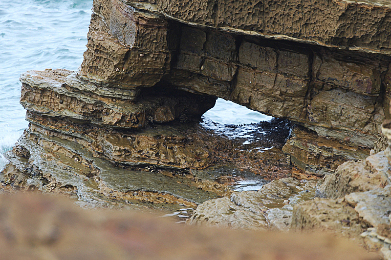 Tide Pools Arch Cabrillo National Monument