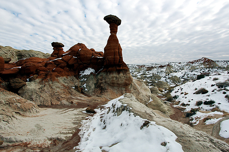 Toadstool Hoodoos