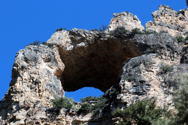 Tongue Bridge [Tongue Canyon]