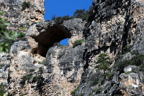 Tongue Bridge [Tongue Canyon]