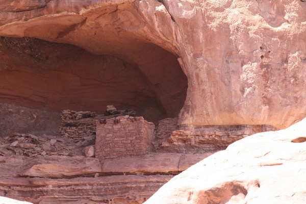 Tower Ruins [Horse Canyon]