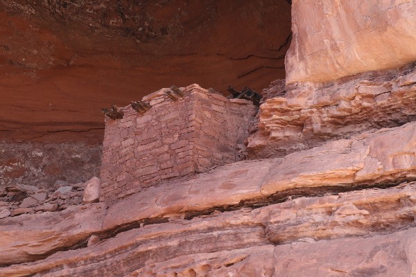 Tower Ruins [Horse Canyon]