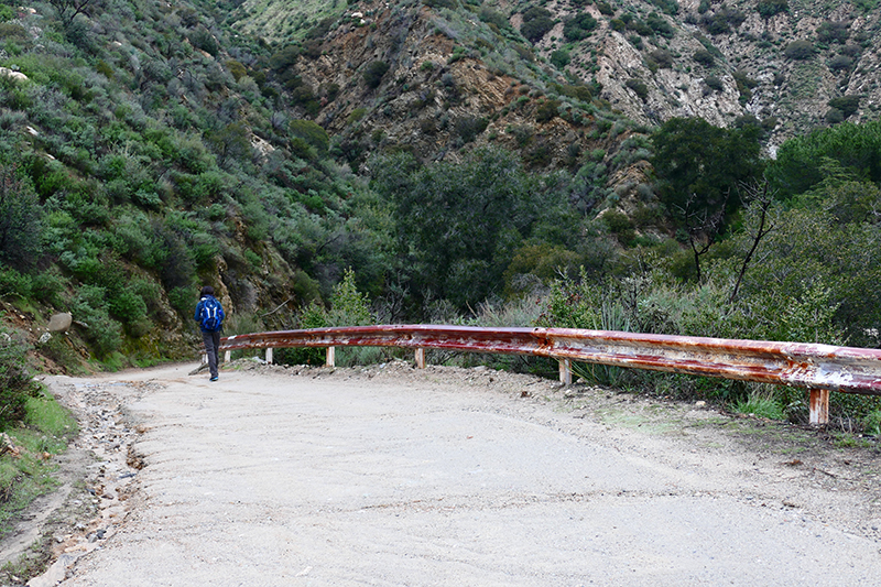 Trail Canyon and Falls [Angeles National Forest]