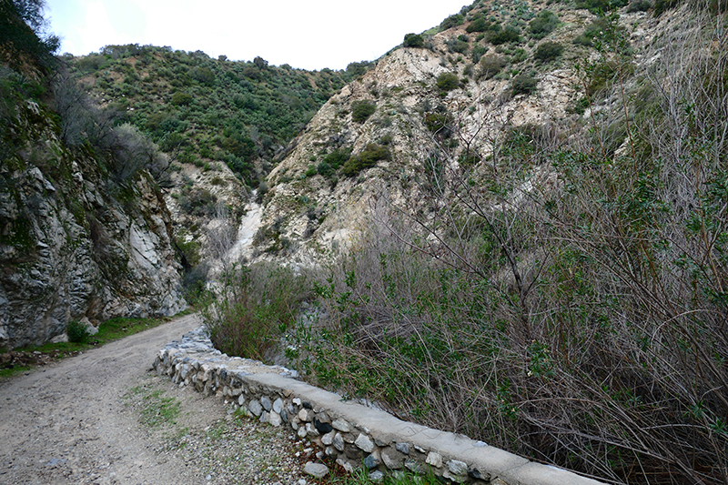 Trail Canyon and Falls [Angeles National Forest]