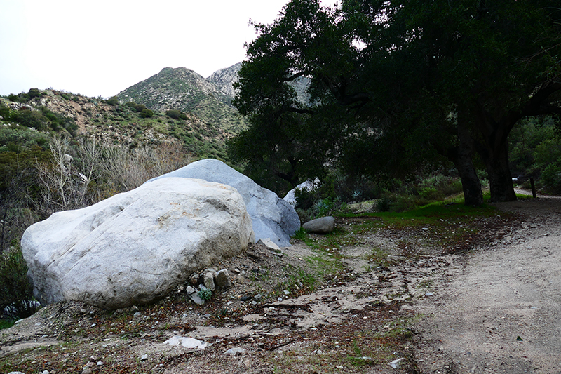 Trail Canyon and Falls [Angeles National Forest]