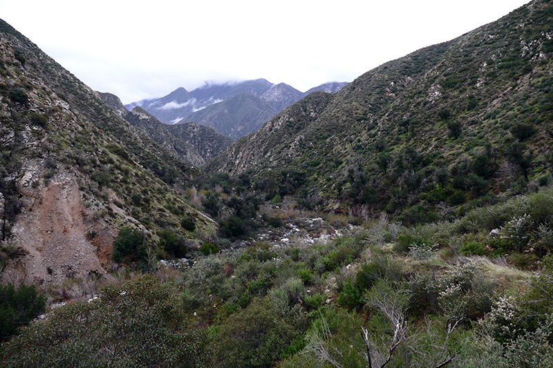 Trail Canyon and Falls [Angeles National Forest]