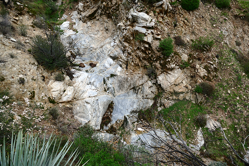 Trail Canyon and Falls [Angeles National Forest]