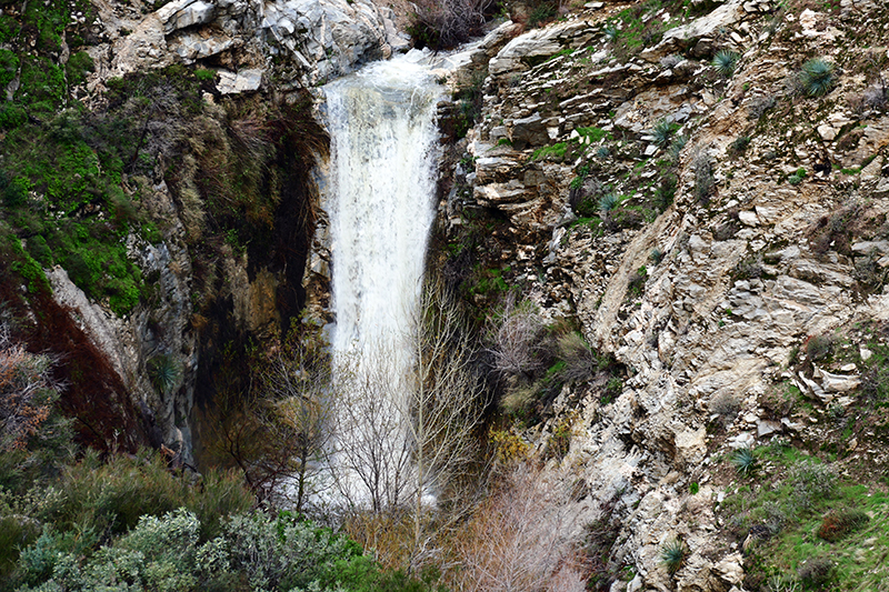 Trail Canyon and Falls [Angeles National Forest]