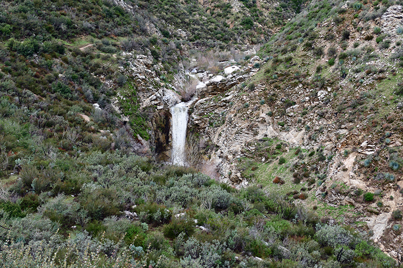 Trail Canyon and Falls [Angeles National Forest]