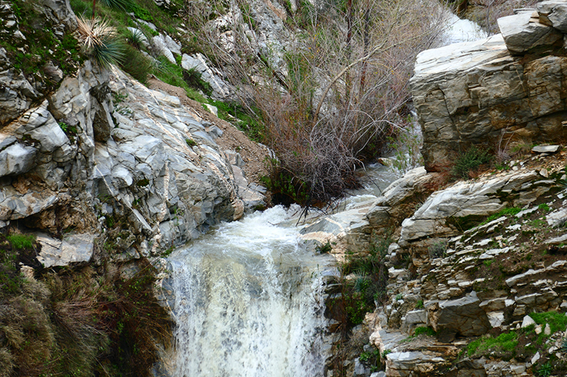 Trail Canyon and Falls [Angeles National Forest]