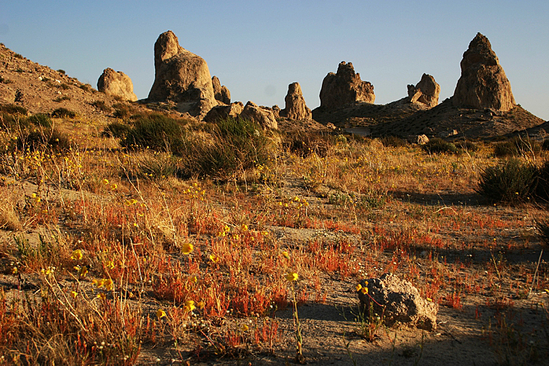 Trona Pinnacles