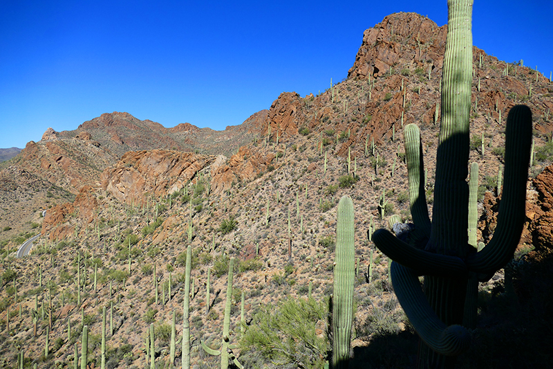 Tucson Mountain Park