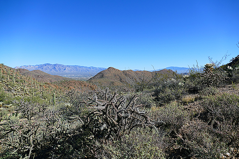 Tucson Mountain Park