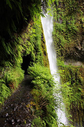 Tunnel Falls Eagle Creek Columbia River