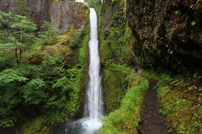 Tunnel Falls Eagle Creek Columbia River