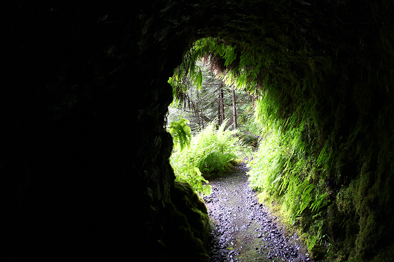 Tunnel Falls Eagle Creek Columbia River