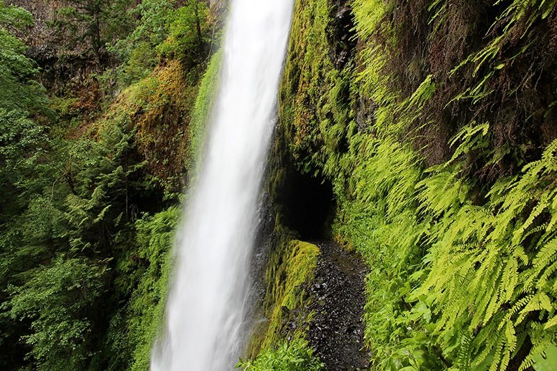 Tunnel Falls Eagle Creek Columbia River