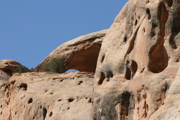 Turtle Arch