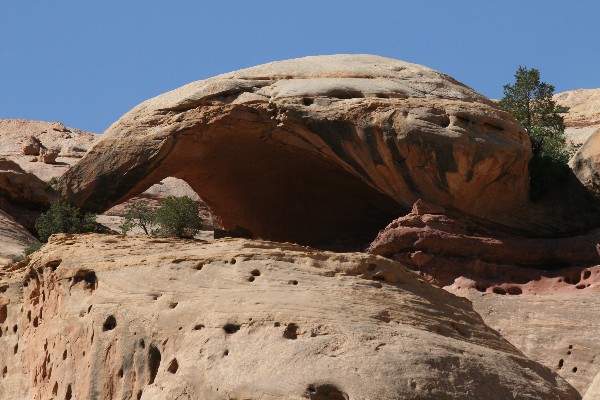 Lavender Canyon