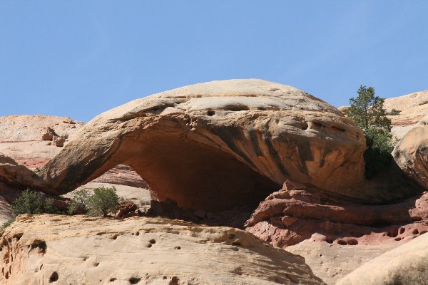 Turtle Arch