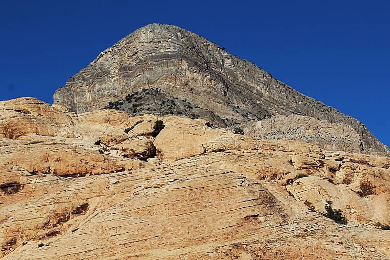 Turtle Head Mountain Red Rock Canyon