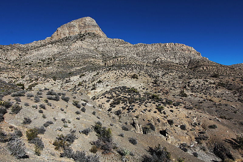 Turtle Head Mountain Red Rock Canyon