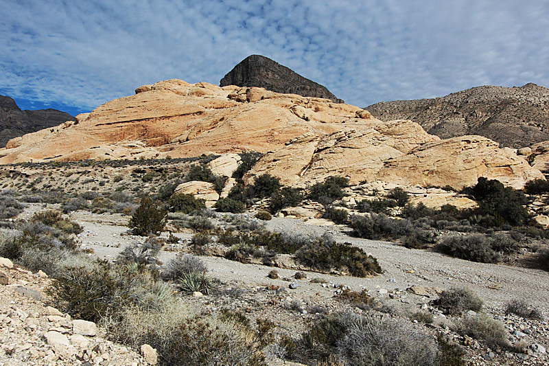 Turtle Head Mountain Red Rock Canyon