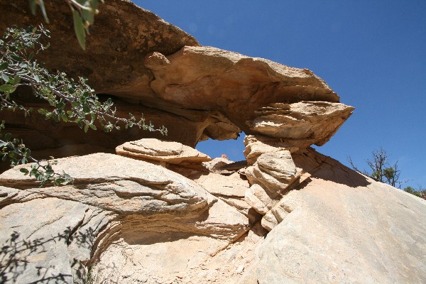 Twist Arch