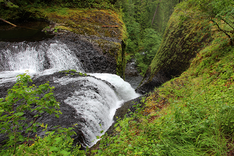 Twister Falls Eagle Creek Columbia River